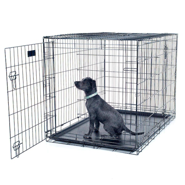 Pet Adobe Double Door Folding Metal Crate 42-Inch with Divider